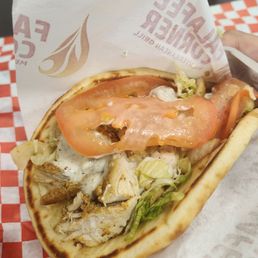 Shawarma Chicken Wrap Shawarma Chicken Wrap