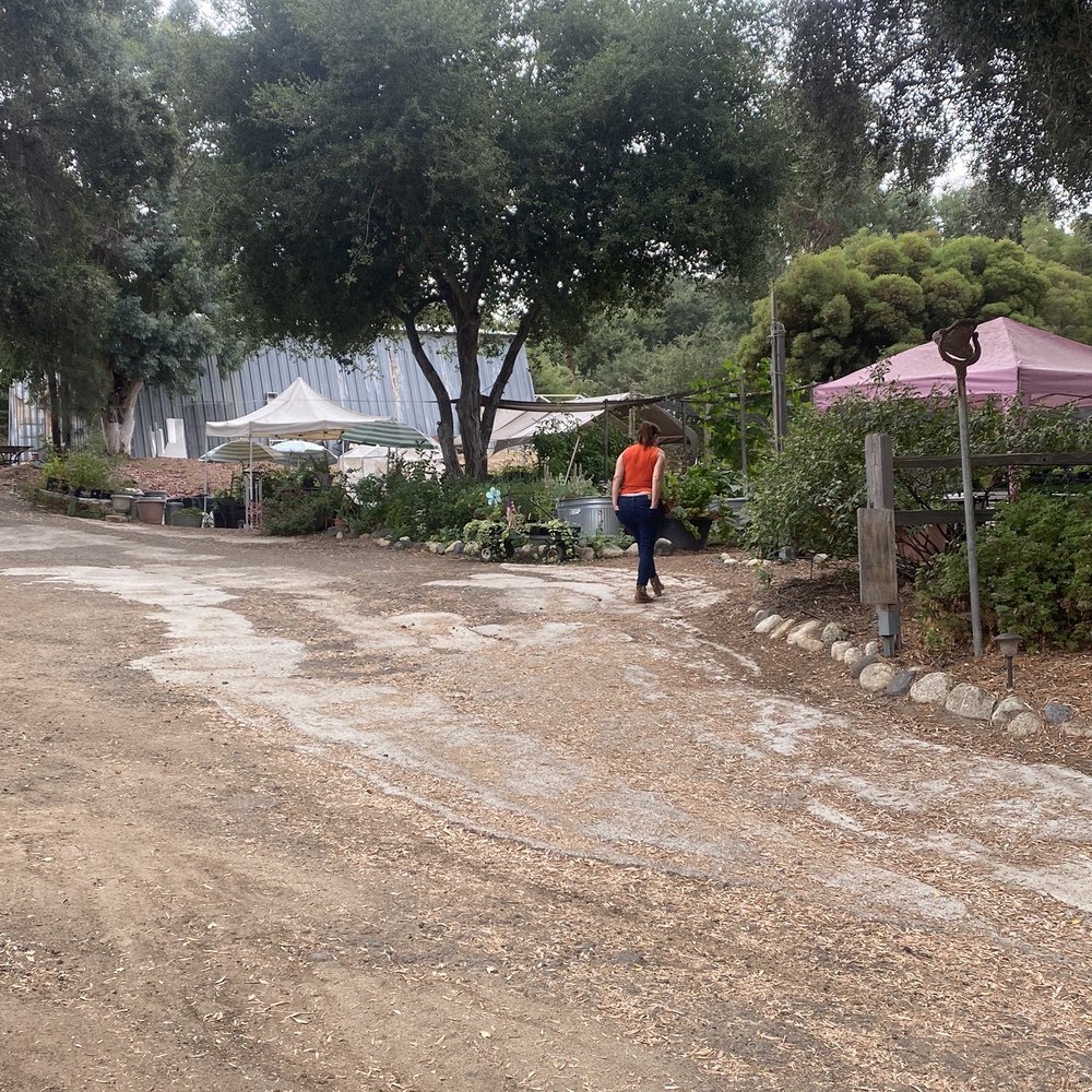 Diane's Herbs - Nurseries & Gardening Near Me - Fallbrook, California