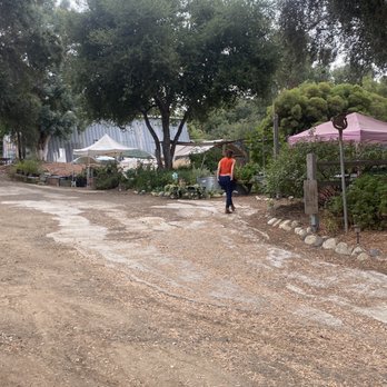 Diane's Herbs - Nurseries & Gardening Near Me - Fallbrook, California