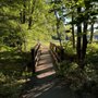 Photo of Rutherford Park