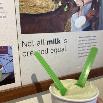 Pitango Gelato & Coffee - Matcha Gelato - Coffee & Tea Near Me - Washington, DC, District of Columbia Pitango Gelato & Coffee - Matcha Gelato - Coffee & Tea Near Me - Washington, DC, District of Columbia
