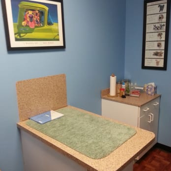Oak Ridge Animal Clinic - Inside one of the rooms. - Veterinarians Near Me - Spring, Texas Oak Ridge Animal Clinic - Inside one of the rooms. - Veterinarians Near Me - Spring, Texas