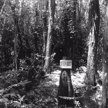 Big Cypress Gallery - On the private trail behind the gallery - Art Galleries Near Me - Ochopee, Florida