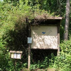 Brinton Brook Sanctuary