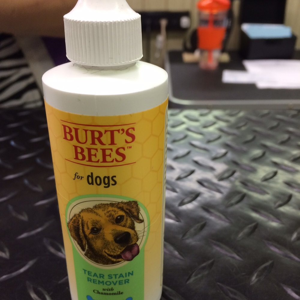 The Purple Poodle - Recommended to use for face tear staining - Pet Groomers Near Me - Carol Stream, Illinois The Purple Poodle - Recommended to use for face tear staining - Pet Groomers Near Me - Carol Stream, Illinois