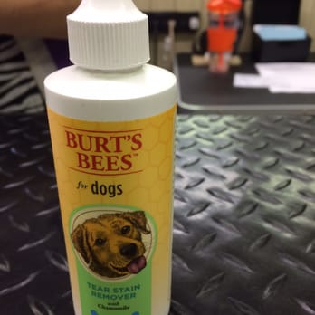 The Purple Poodle - Recommended to use for face tear staining - Pet Groomers Near Me - Carol Stream, Illinois The Purple Poodle - Recommended to use for face tear staining - Pet Groomers Near Me - Carol Stream, Illinois