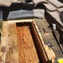 Nunez Bee Removal