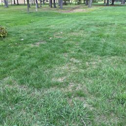 Less to cut this summer! Less to cut this summer!