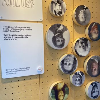 Mindworks - How do our eyes fool us? - Museums Near Me - Chicago, Illinois