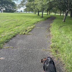 East Shore Park