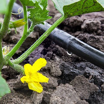 Bob's Irrigation Solutions - Drip Irrigation - Irrigation Near Me