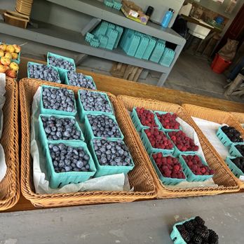 Moses Vegetable Stand - Delicious cherries, blueberries, blackberries and strawberries! - Fruits & Veggies Near Me - Eagle Bridge, New York Moses Vegetable Stand - Delicious cherries, blueberries, blackberries and strawberries! - Fruits & Veggies Near Me - Eagle Bridge, New York