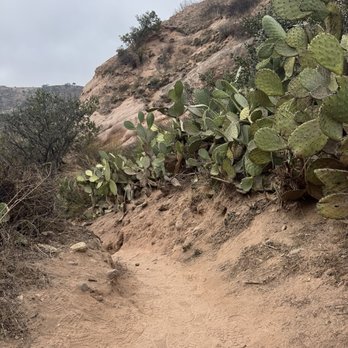 Red Rock Canyon - Path to red rock - Hiking Near Me - Lake Forest, California Red Rock Canyon - Path to red rock - Hiking Near Me - Lake Forest, California