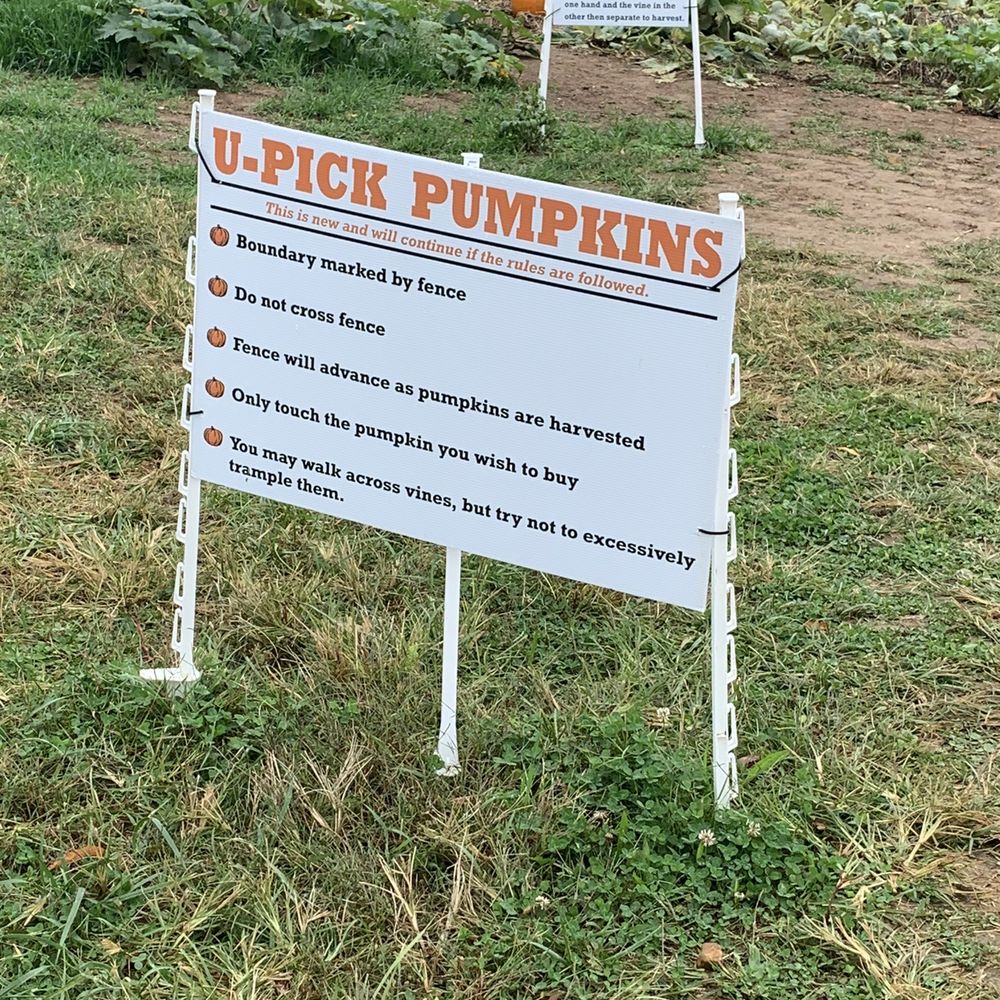Boyd's Pumpkin Patch - U-pick pumpkins - Pumpkin Patches Near Me - Clarksville, Tennessee