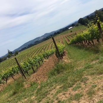 Eminent Domaine - Wine Tasting Room Near Me - Newberg, Oregon Eminent Domaine - Wine Tasting Room Near Me - Newberg, Oregon