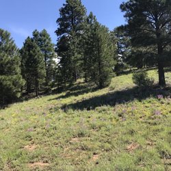 Kashmir Vacation Rental - The meadows on BLM property behind the house.
