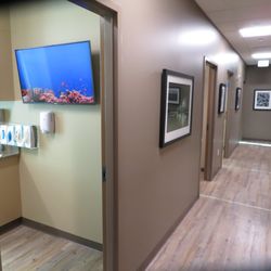 Forefront Dermatology - Lakewood