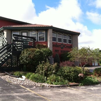 Cedar Creek Pet Resort - Take the stairs (or ramp) to the front desk. - Pet Groomers Near Me - Jackson, Wisconsin