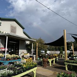Farm 441 - Nursery area after a light rain, with a rainbow in the distance!