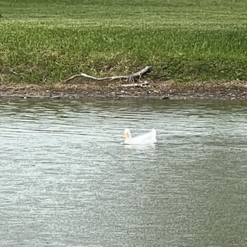 Lake Carola - Parks Near Me - Sanford, Florida