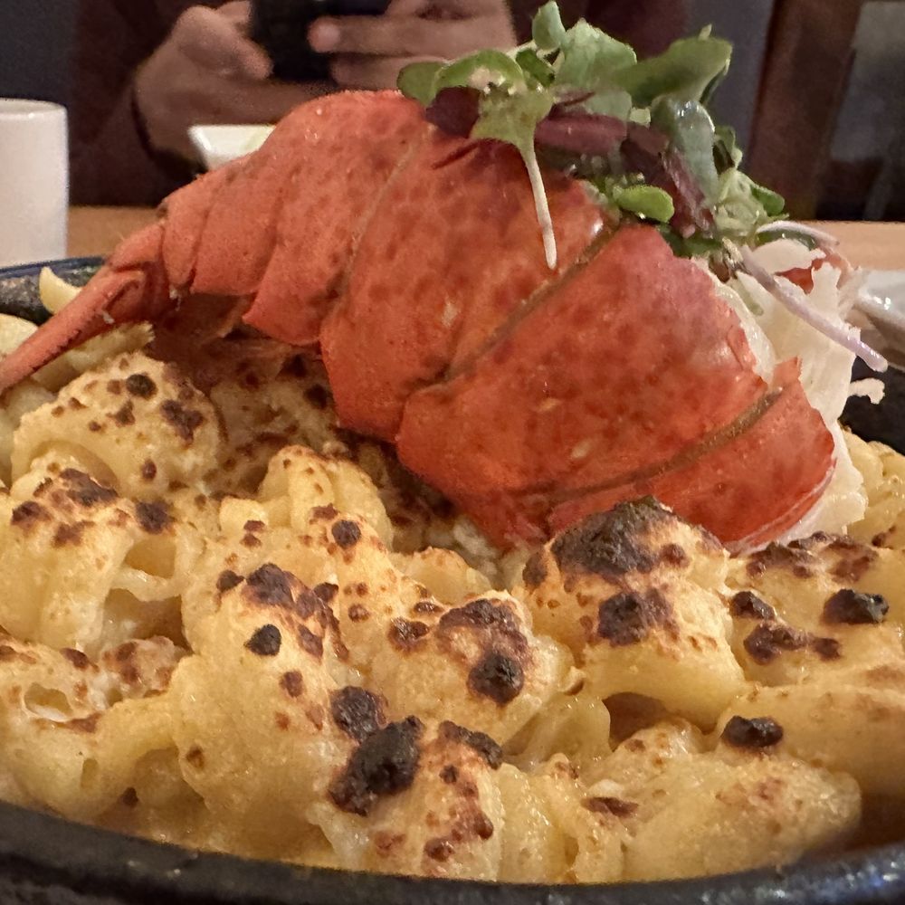 Scratch Kitchen & Taproom - Lobster Mac & Cheese - Bars Near Me - Apex, North Carolina Scratch Kitchen & Taproom - Lobster Mac & Cheese - Bars Near Me - Apex, North Carolina