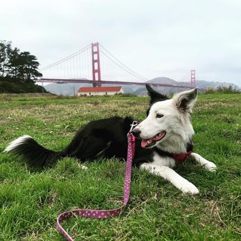 Crissy Field - Parks Near Me - San Francisco, California