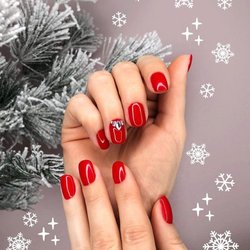 Mirel Beauty - Merry Christmas