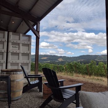 Sealionne Wines - Perfect views perfect pinot - Wine Tours Near Me - Newberg, Oregon Sealionne Wines - Perfect views perfect pinot - Wine Tours Near Me - Newberg, Oregon