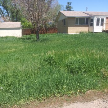 Tony's Lanscaping - a grassy yard with a house in the background - Landscaping Near Me - Wheat Ridge, Colorado Tony's Lanscaping - a grassy yard with a house in the background - Landscaping Near Me - Wheat Ridge, Colorado