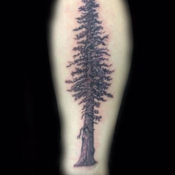 Alameda Tattoo - Tattoo by Greg De Hoot - Tattoo Near Me - Alameda, California