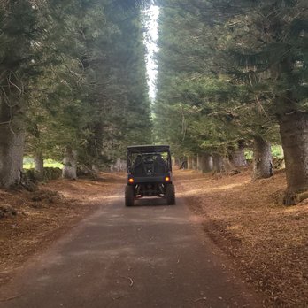 Kipu Ranch Adventures - Tours Near Me - Lihue, Hawaii Kipu Ranch Adventures - Tours Near Me - Lihue, Hawaii