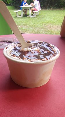 Daintree Ice Cream Company by null