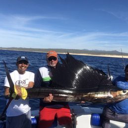108 inch Sail Fish! 108 inch Sail Fish!