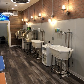 Philthy PAWS - Wash area with small tubs - Pet Groomers Near Me - Philadelphia, Pennsylvania