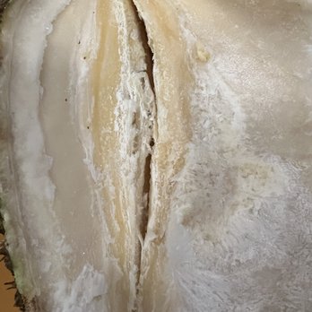 SF Supermarket - Durian was soaked with water and re-freezed - International Grocery Near Me - Portland, Oregon