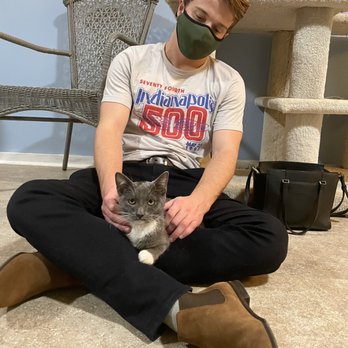 Nine Lives Cat Cafe - Stanley the cat really loved hanging out on laps! - Coffee & Tea Near Me - Indianapolis, Indiana Nine Lives Cat Cafe - Stanley the cat really loved hanging out on laps! - Coffee & Tea Near Me - Indianapolis, Indiana
