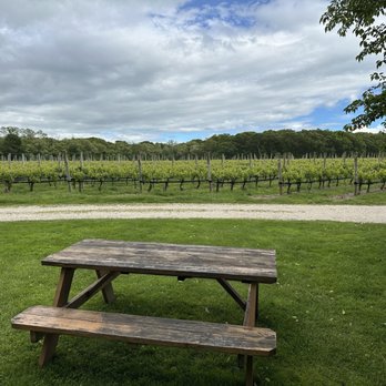 McCall Wines - Old vine Merlot and Cab, down almost to the waters edge - Wineries Near Me - Cutchogue, New York