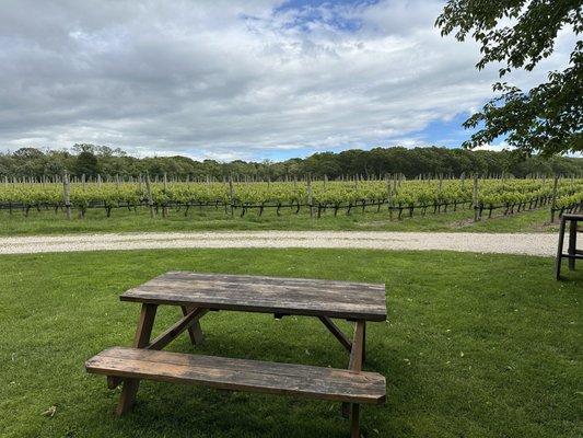 McCall Wines by null