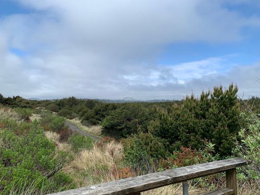 South Beach State Park by null