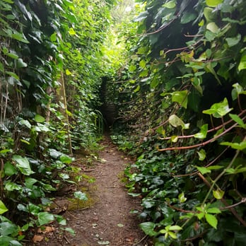 Mill Valley Inn - Hotels Near Me - Mill Valley, California