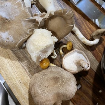 8 Hands Farm - Locally-grown mushrooms sold as a medley in small bags. - Farms Near Me - Cutchogue, New York 8 Hands Farm - Locally-grown mushrooms sold as a medley in small bags. - Farms Near Me - Cutchogue, New York