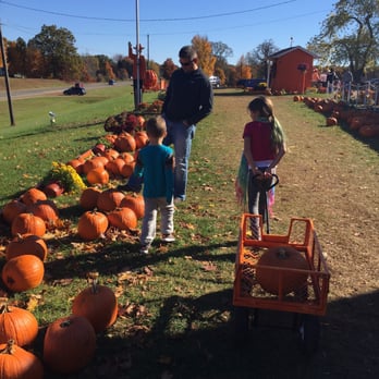 Gene The Pumpkin Man - Pumpkin Patches Near Me - Kalamazoo, Michigan