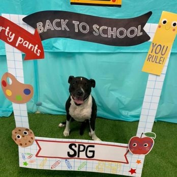 Specialty Pet Grooming - Bark to School week - Pet Groomers Near Me - Evansville, Indiana Specialty Pet Grooming - Bark to School week - Pet Groomers Near Me - Evansville, Indiana