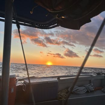 Hawaii Dolphin - Sunset! - Snorkeling Near Me - Kailua-Kona, Hawaii Hawaii Dolphin - Sunset! - Snorkeling Near Me - Kailua-Kona, Hawaii