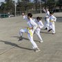 Photo of Traditional Karate East Bay