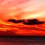Photo of Beach Lovers Hawaii