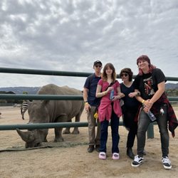 Monterey Zoo - Our group at the rhino enclosure!