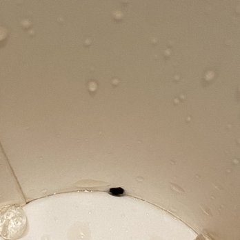 Chick-fil-A - Mold in my soft drink. - Fast Food Near Me - Pasadena, Maryland