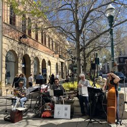 Samba Cruz - Live in downtown SC