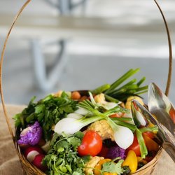 Mia Event Catering - Diana Beach Catering